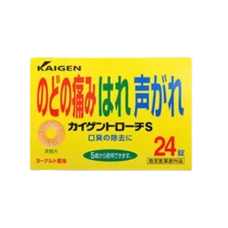 Противовоспалительные дизенфицирующие пастилки для горла "Kaigen Troche S", 24 шт.