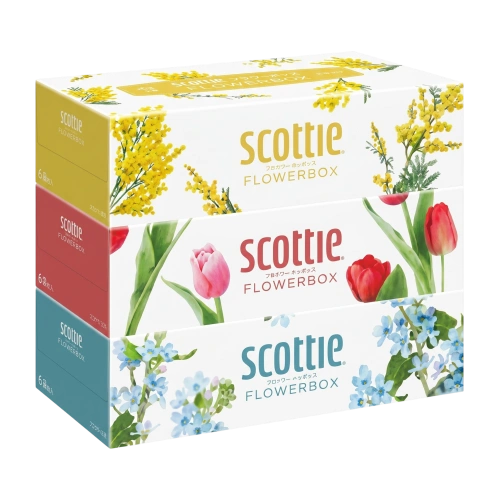 "Scottie Tissue Flower Box" майлықтары, 250 жұп (500 парақ) x 3 дана